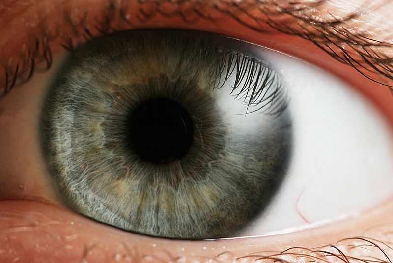 Хориоретинальная дистрофия сетчатки глаза