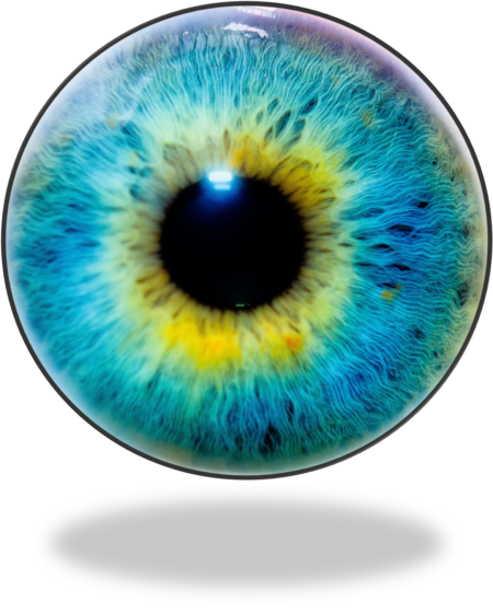 глаз при пигментном ретините